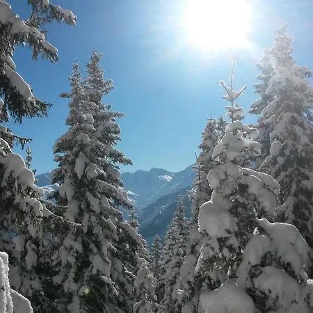 Haus Renswouw 3* Hollersbach im Pinzgau