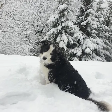 Haus Renswouw Hollersbach im Pinzgau