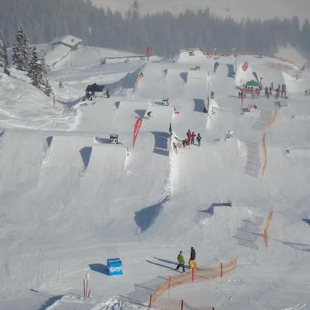 Haus Renswouw Konukevi Hollersbach im Pinzgau