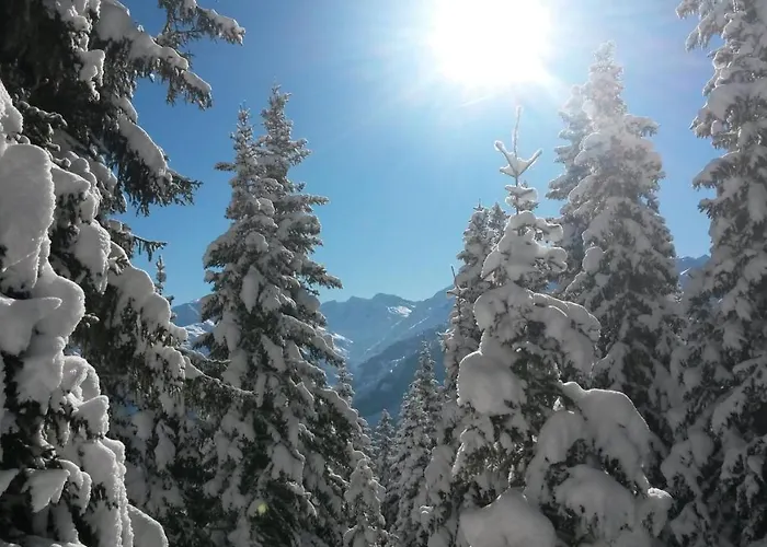 Haus Renswouw 3* Hollersbach im Pinzgau