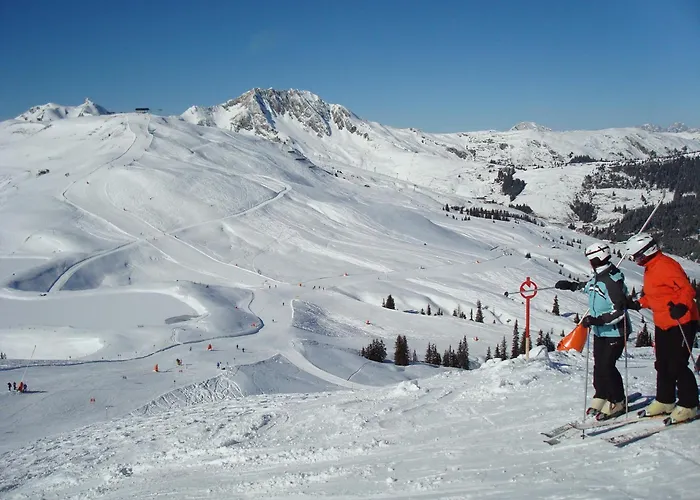 Haus Renswouw 3* Hollersbach im Pinzgau